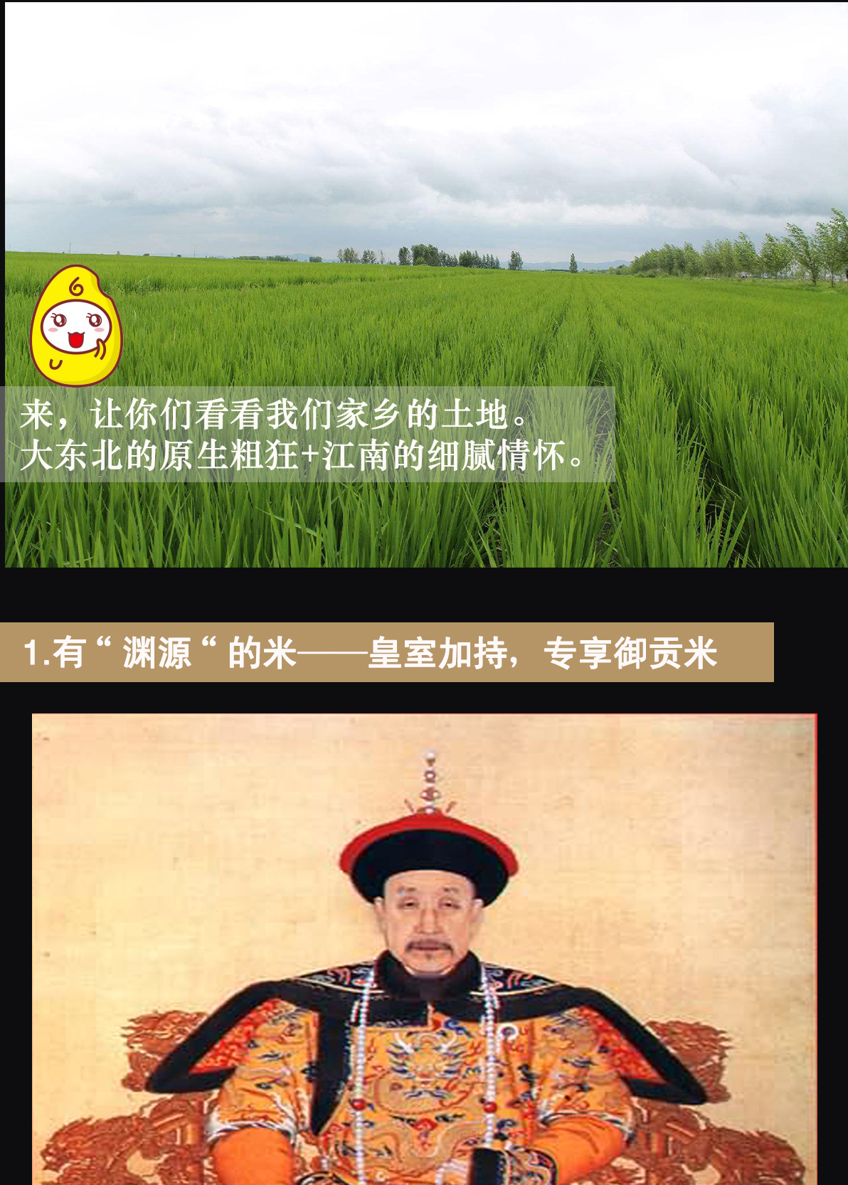 素氏大米详情页_05.jpg